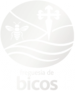 Junta de Freguesia de Bicos